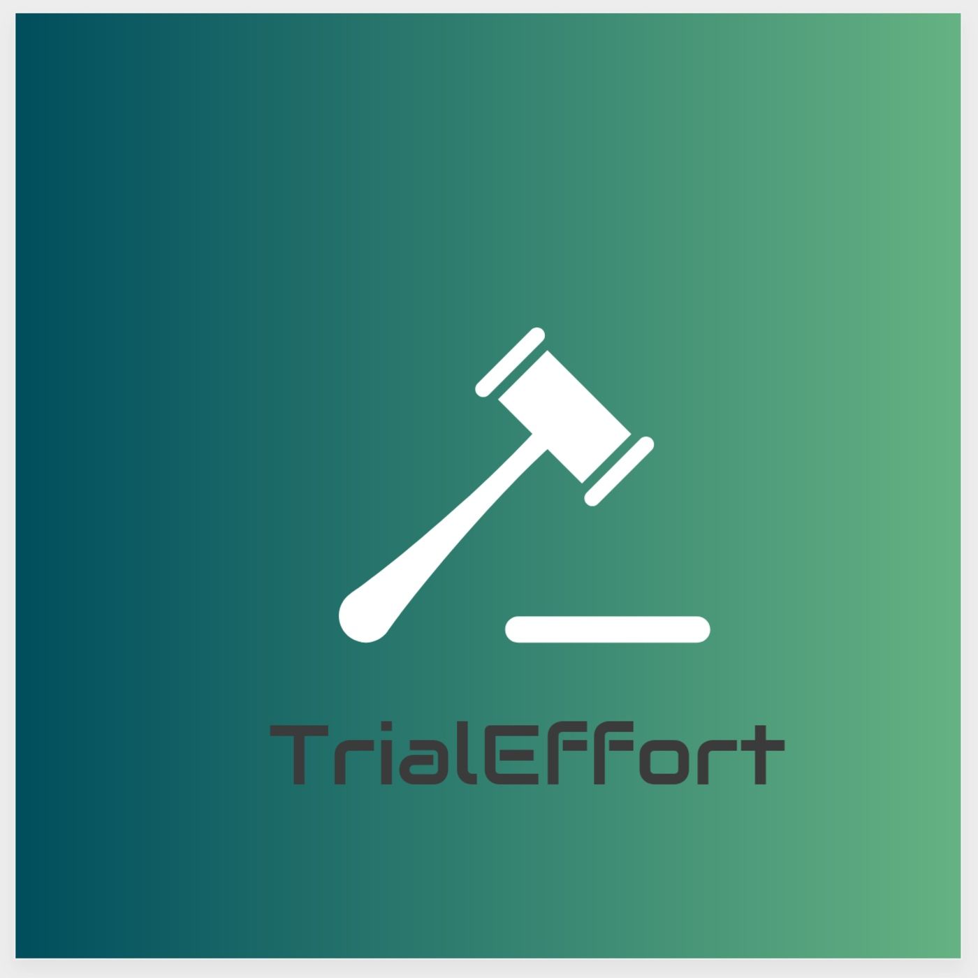 TrialEffort: Amber Guyger Full Trial Audio