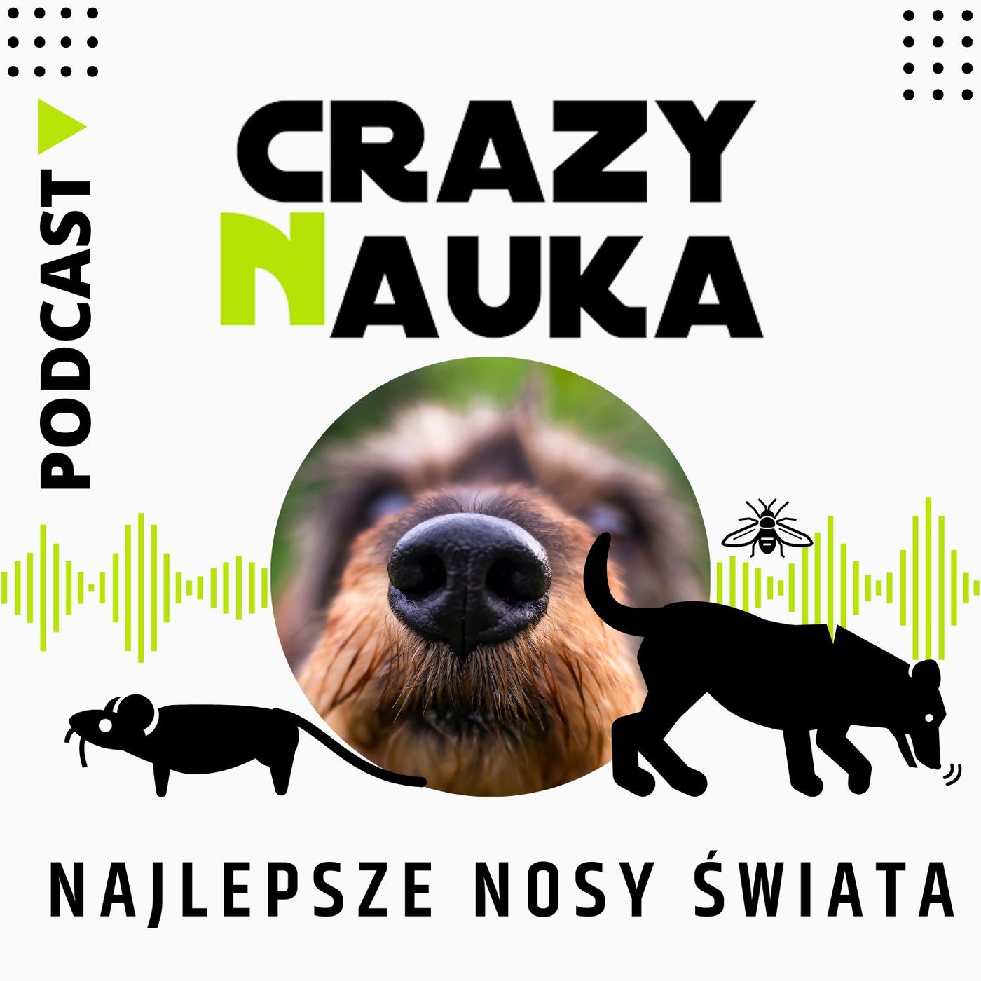 Crazy Nauka
