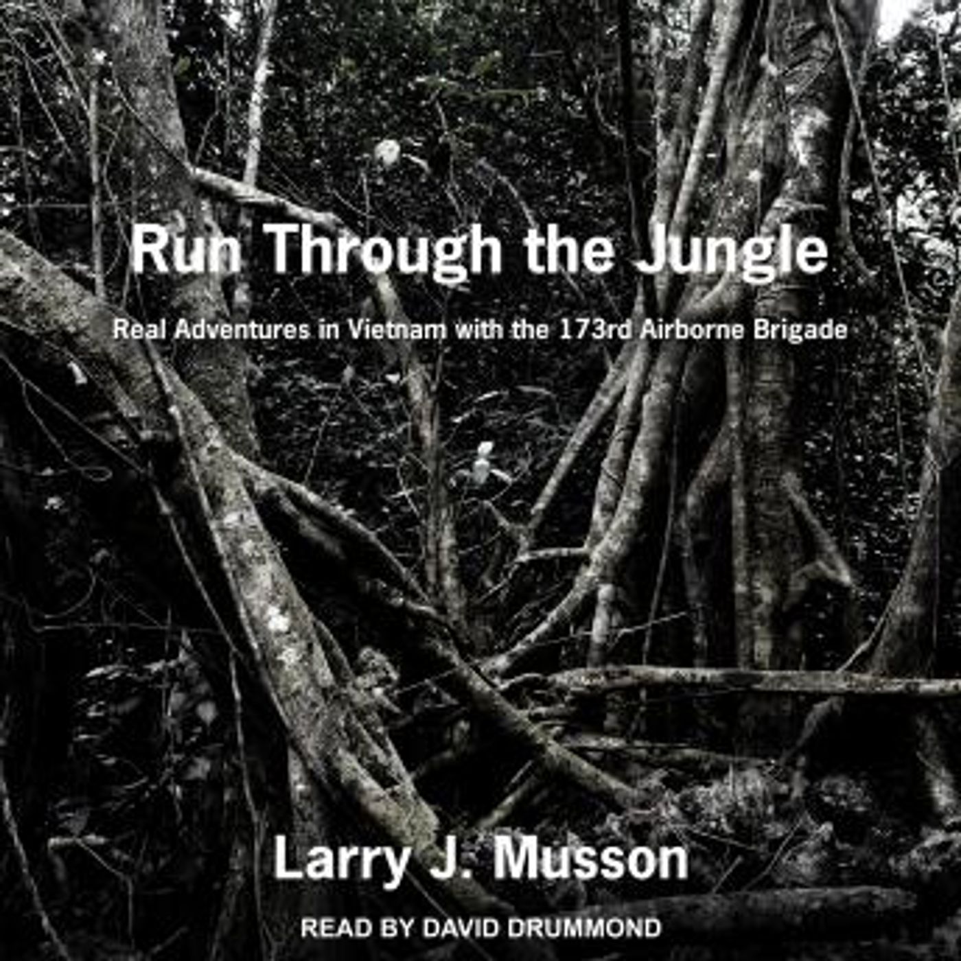 Run Through the Jungle: Real Adventures in Vietnam with the 173rd Airborne Brigade by Larry J. Musson episode artwork