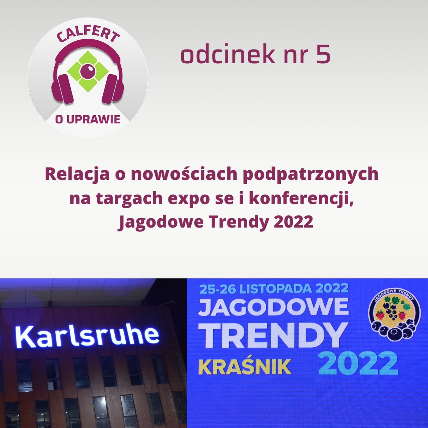 5. Relacja i opowieść o innowacjach i nowościach podpatrzonych na targach expo se i expo direct oraz na Jagodowych Trendach 2022.