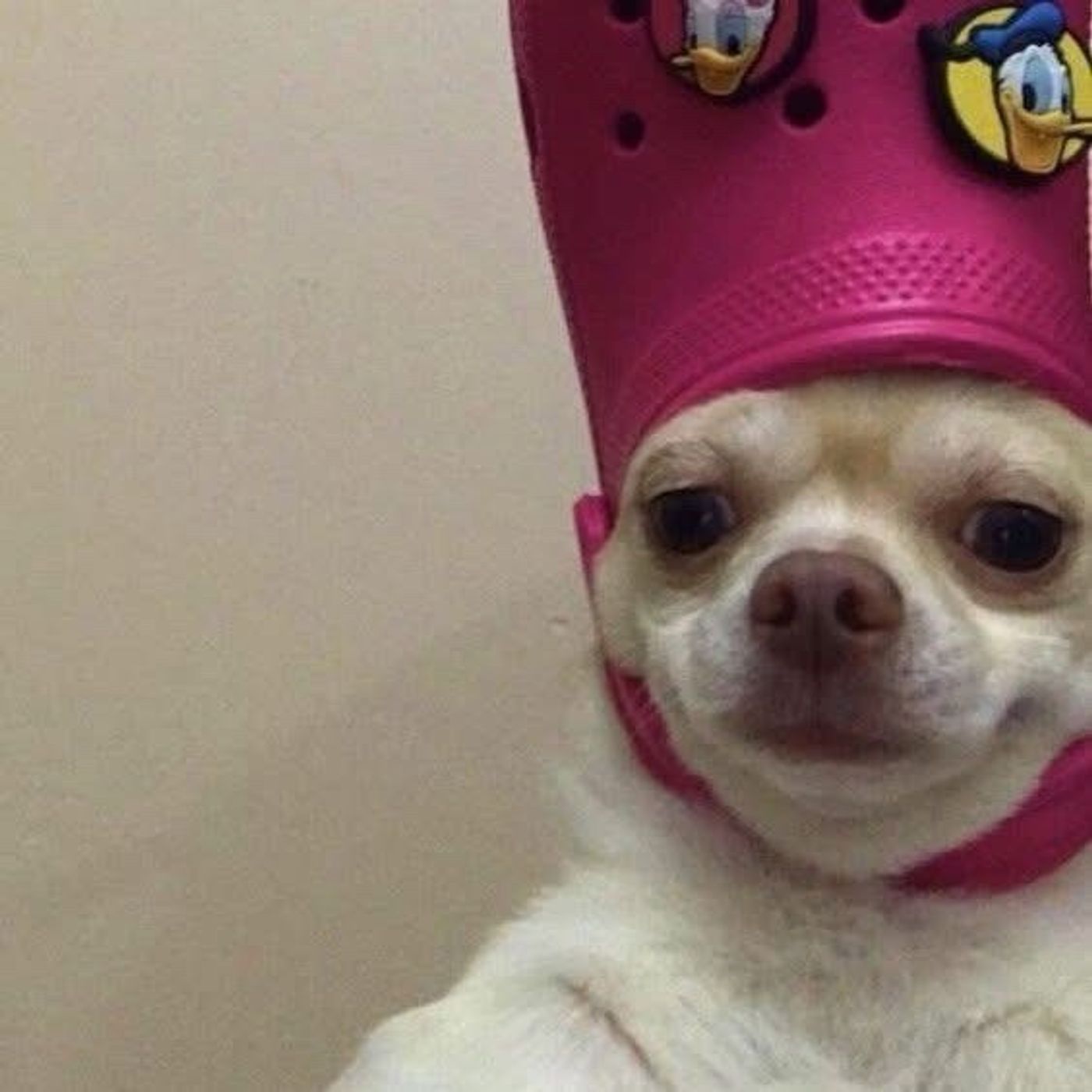 Singing with the beat of The Bahamas with Labron Minnis