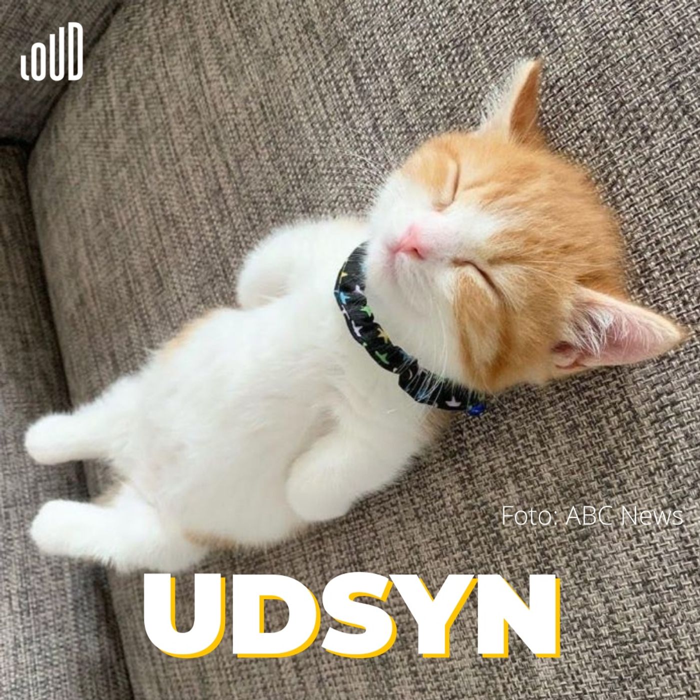 Udsyn
