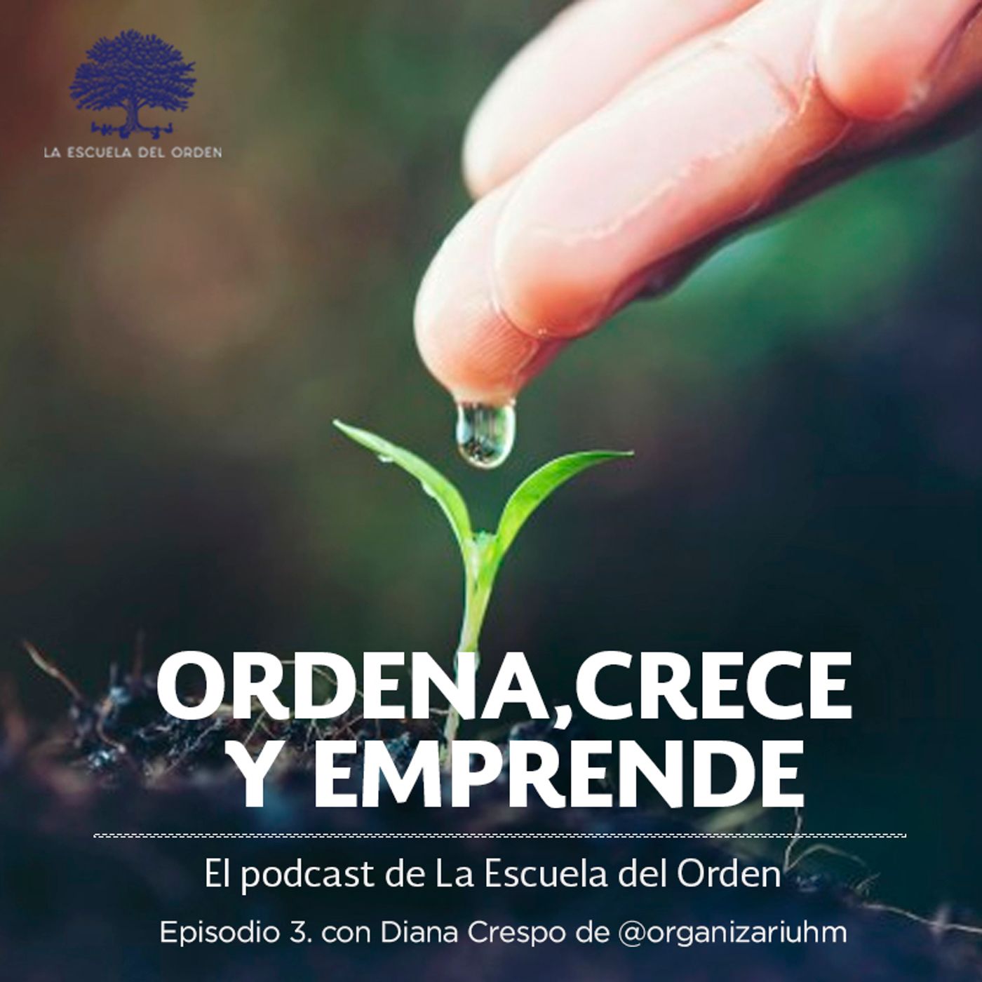 Ordena, crece y emprende