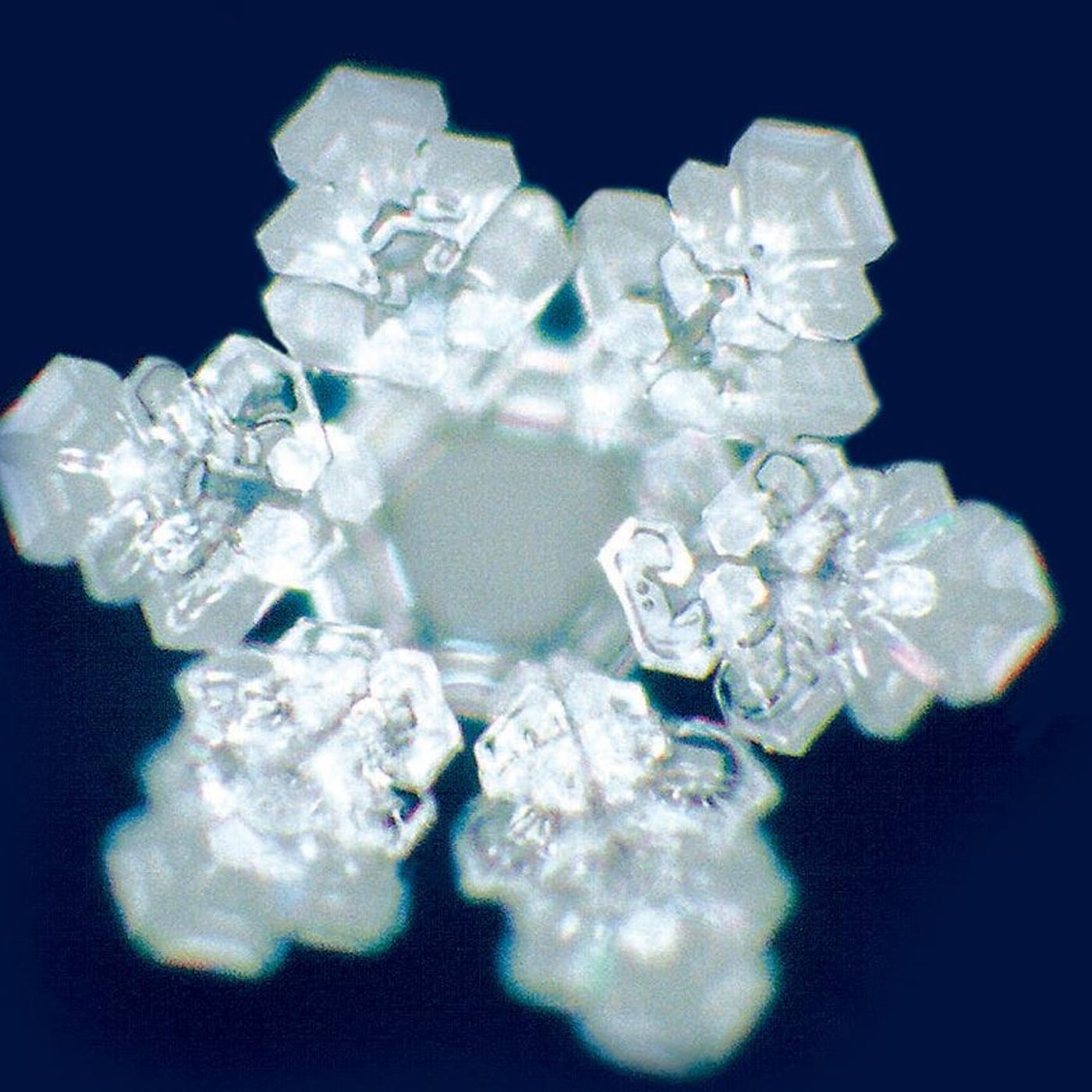 TRIBUTO A MASARU EMOTO  < H2O > episode artwork