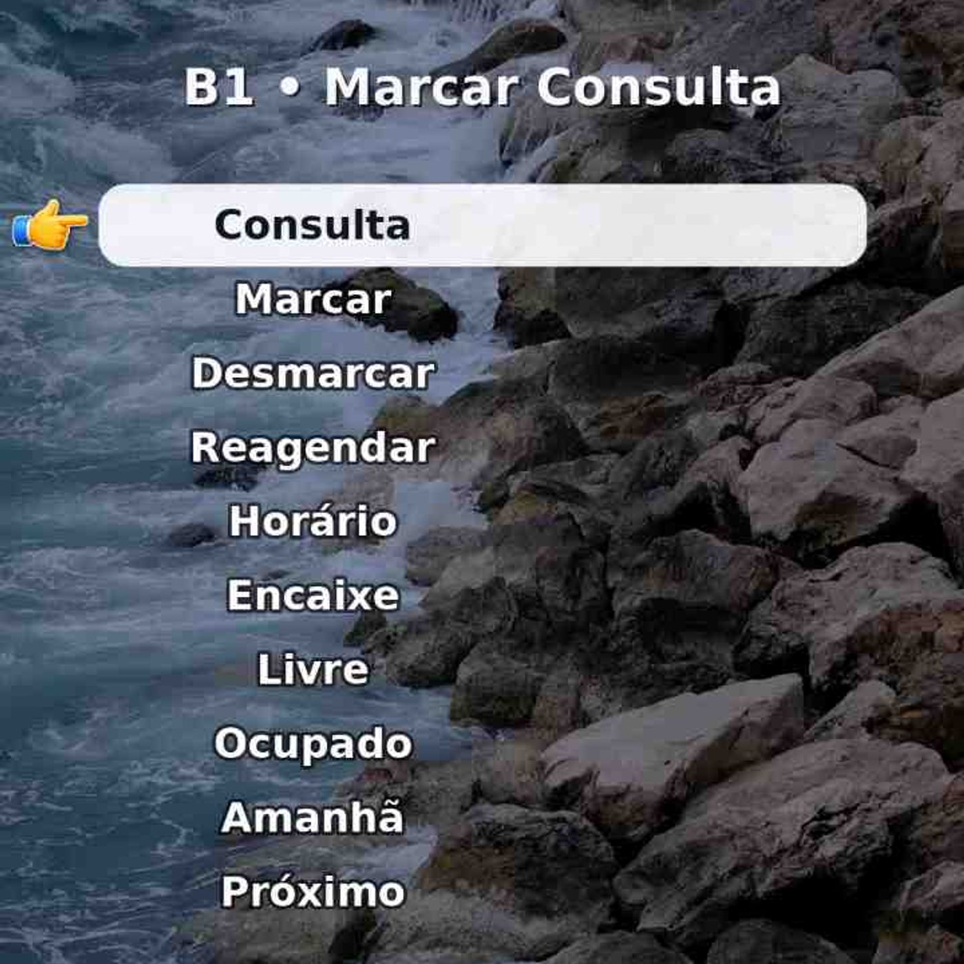 Salve e repita em voz alta_ Marcar Consulta.