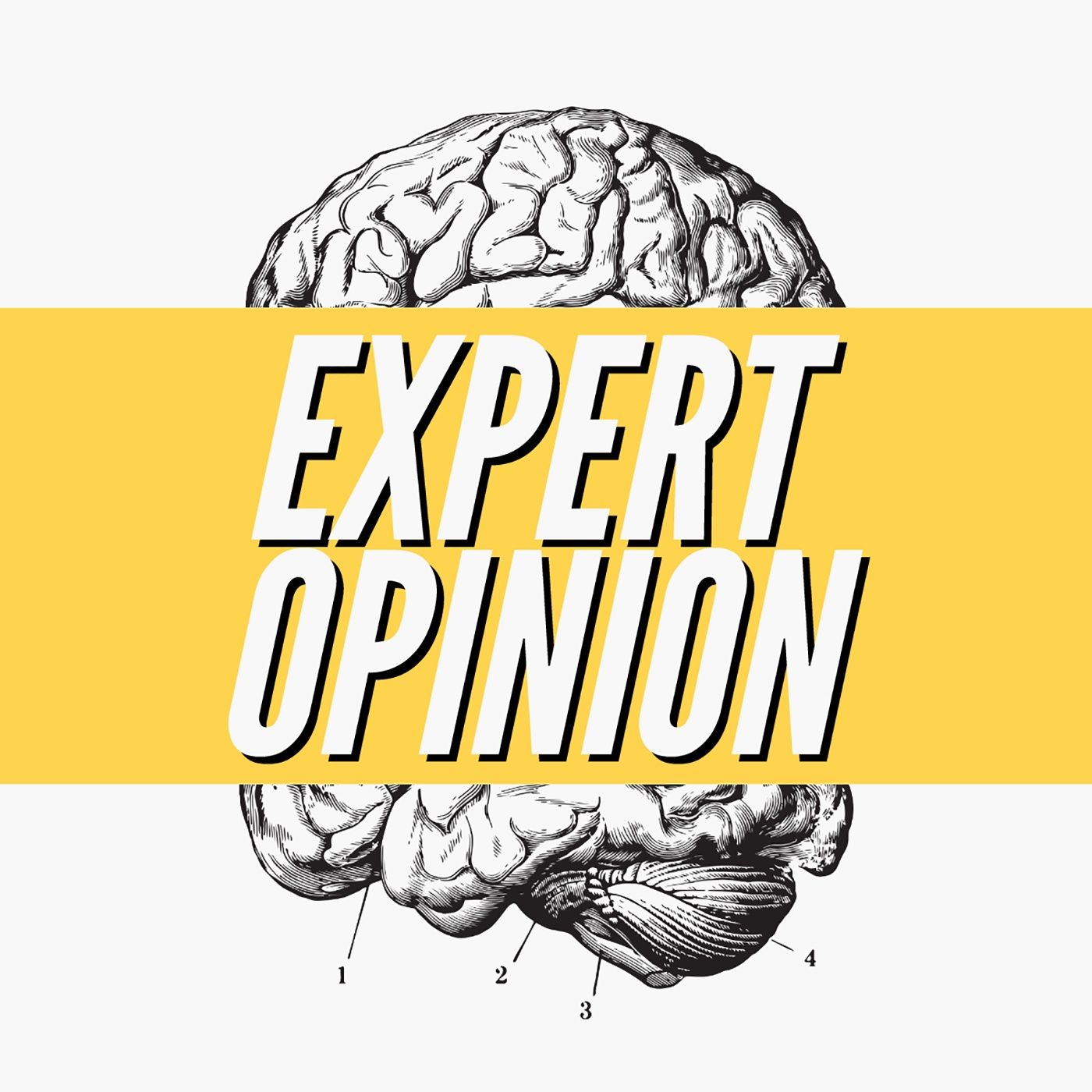 Expert Opinion