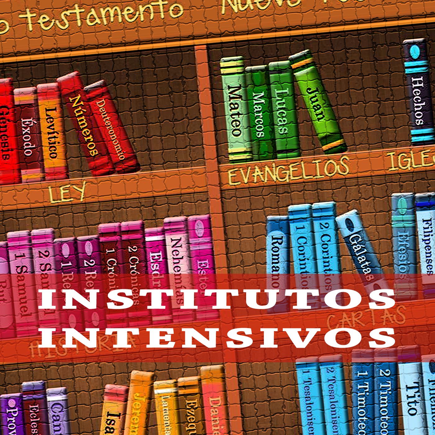 Institutos intensivos en Aierdi