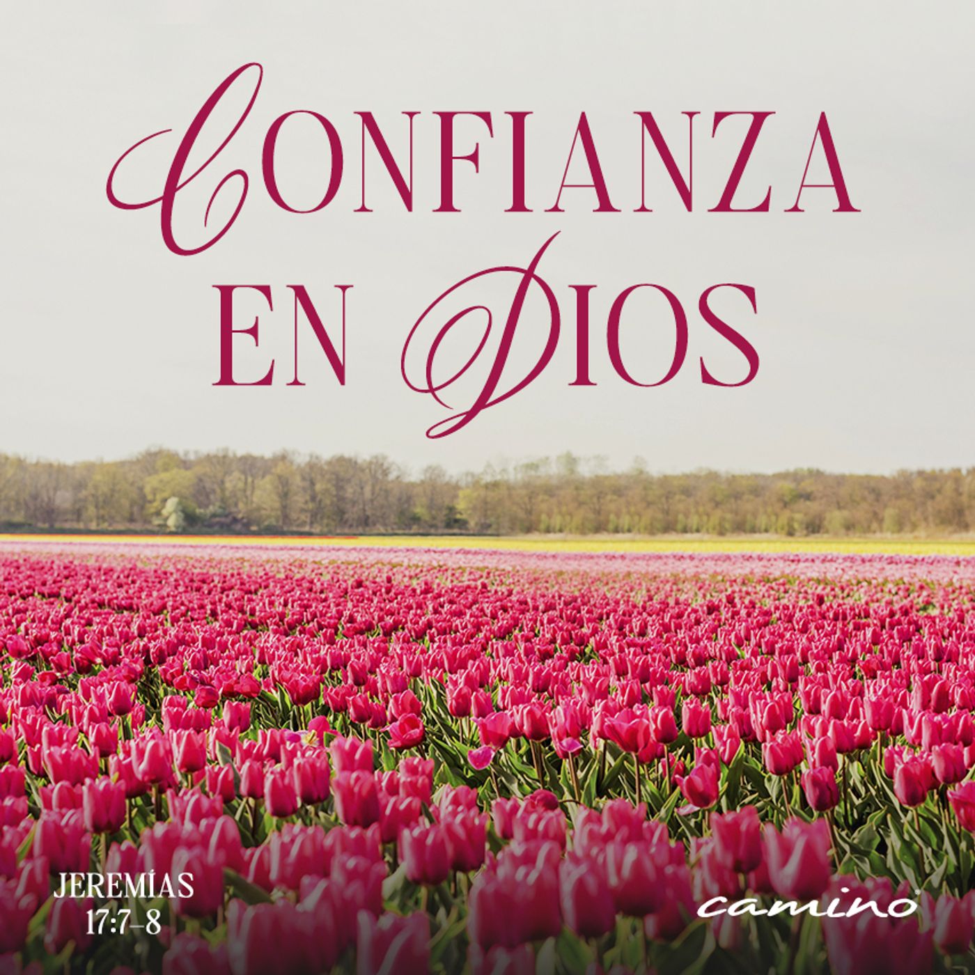 Oración 14 de julio (Confianza en Dios) episode artwork