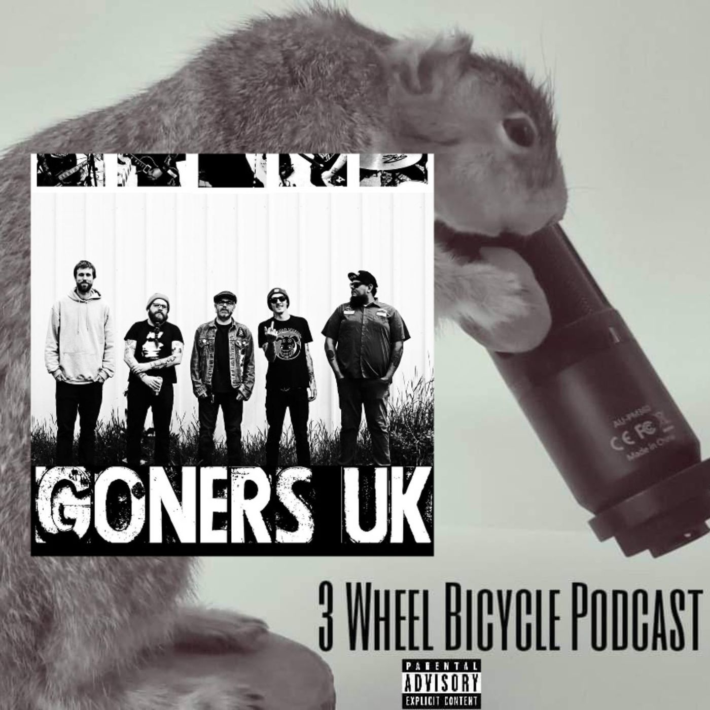 3 Wheel Bicycle Podcast