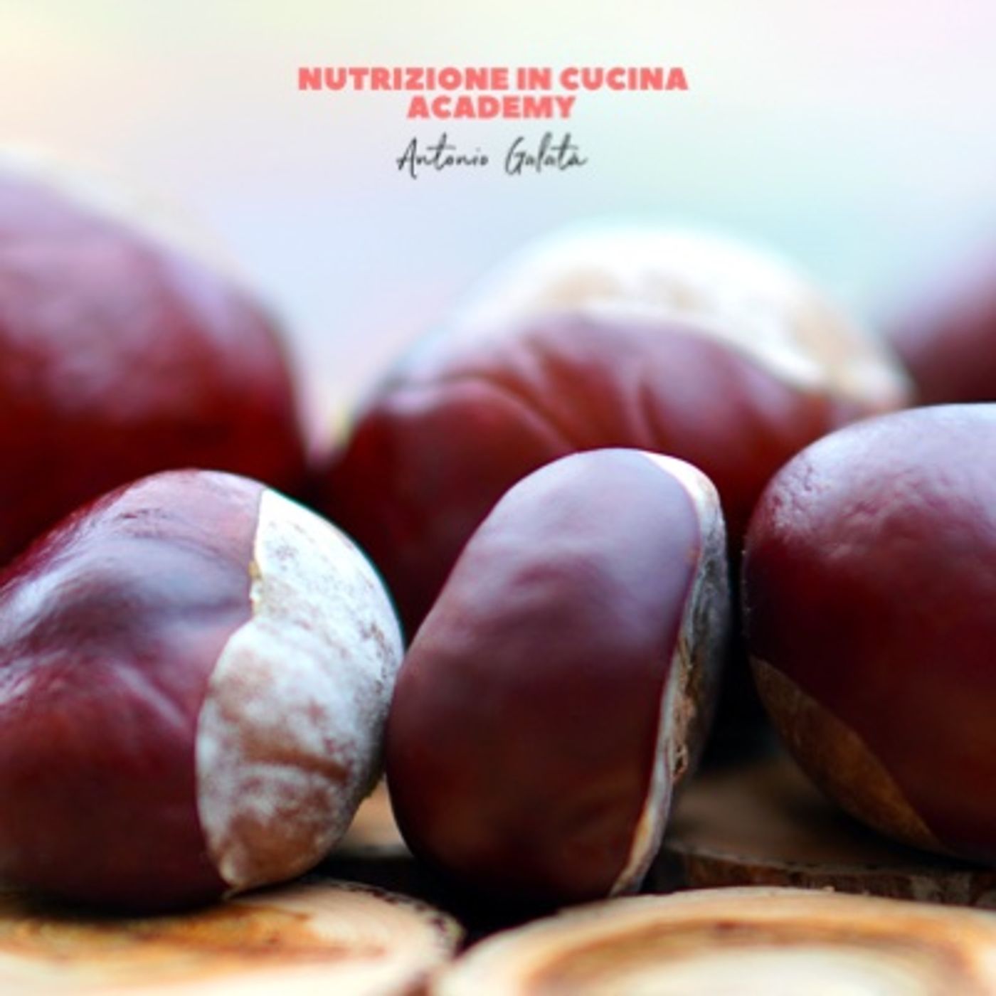 Nutrizione in Cucina Academy