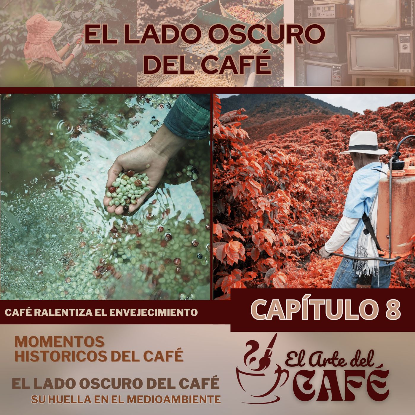 El Arte del Café
