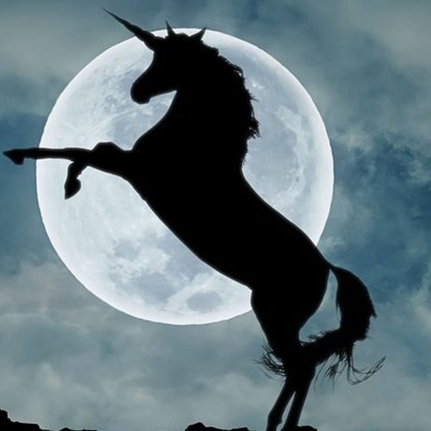 Animali fantastici e dove trovarli