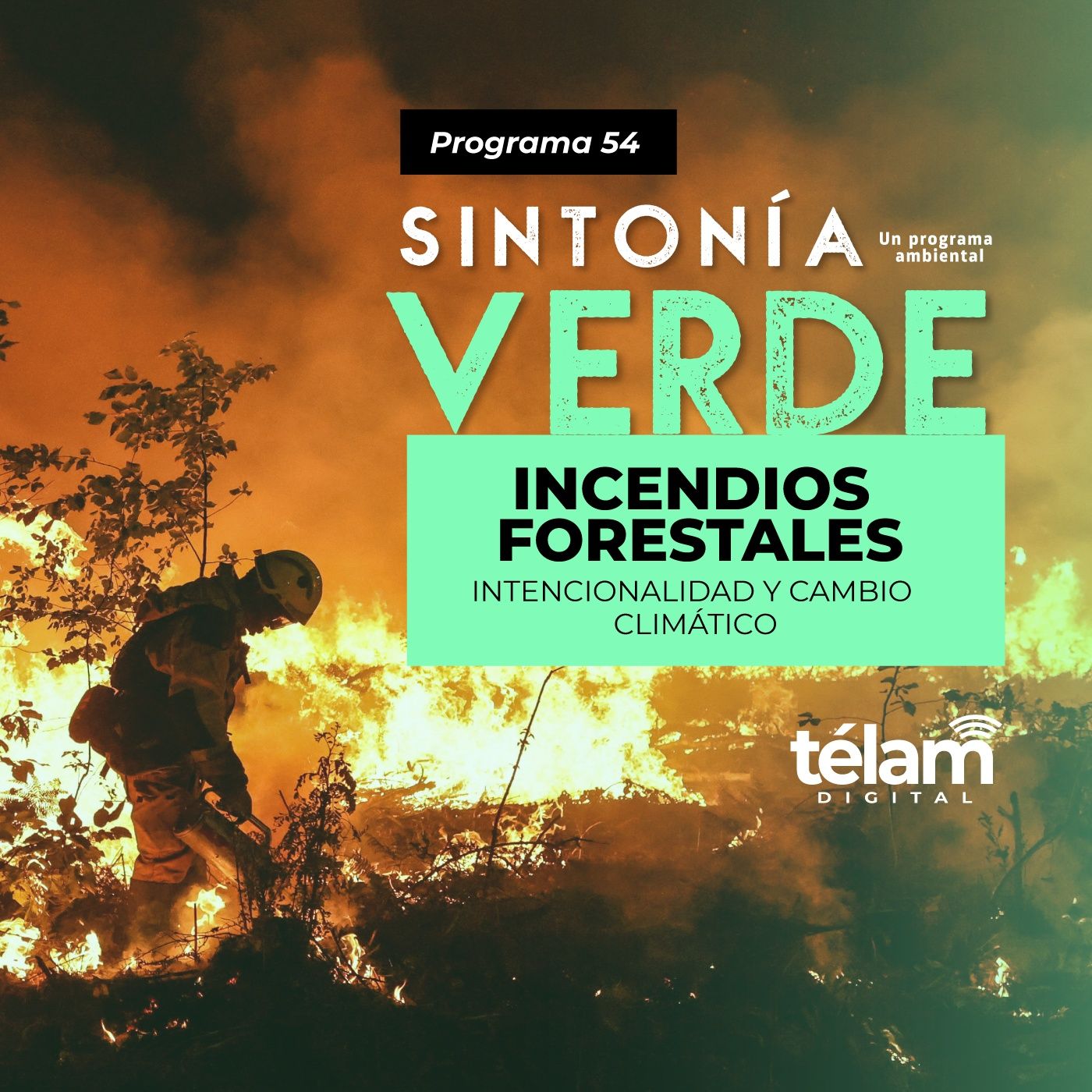 cover of episode Incendios forestales: Intencionalidad y cambio climático