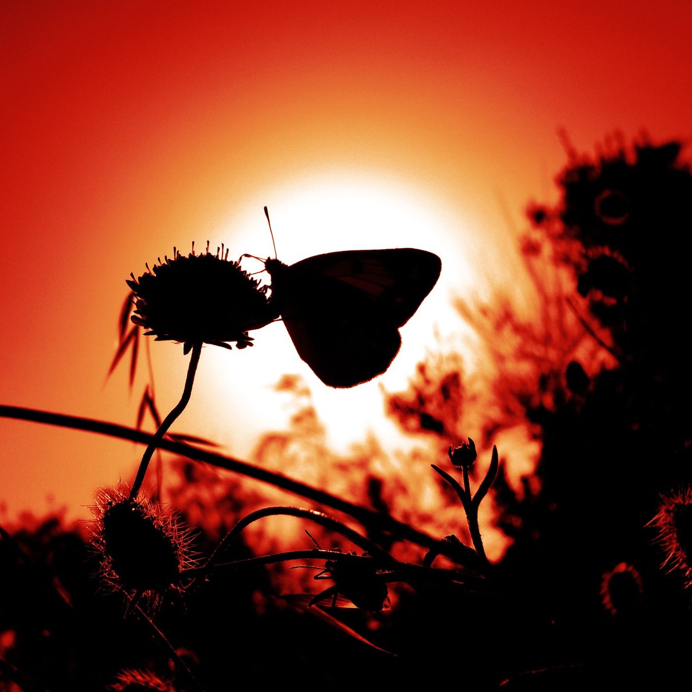 Unleashing Your Potential