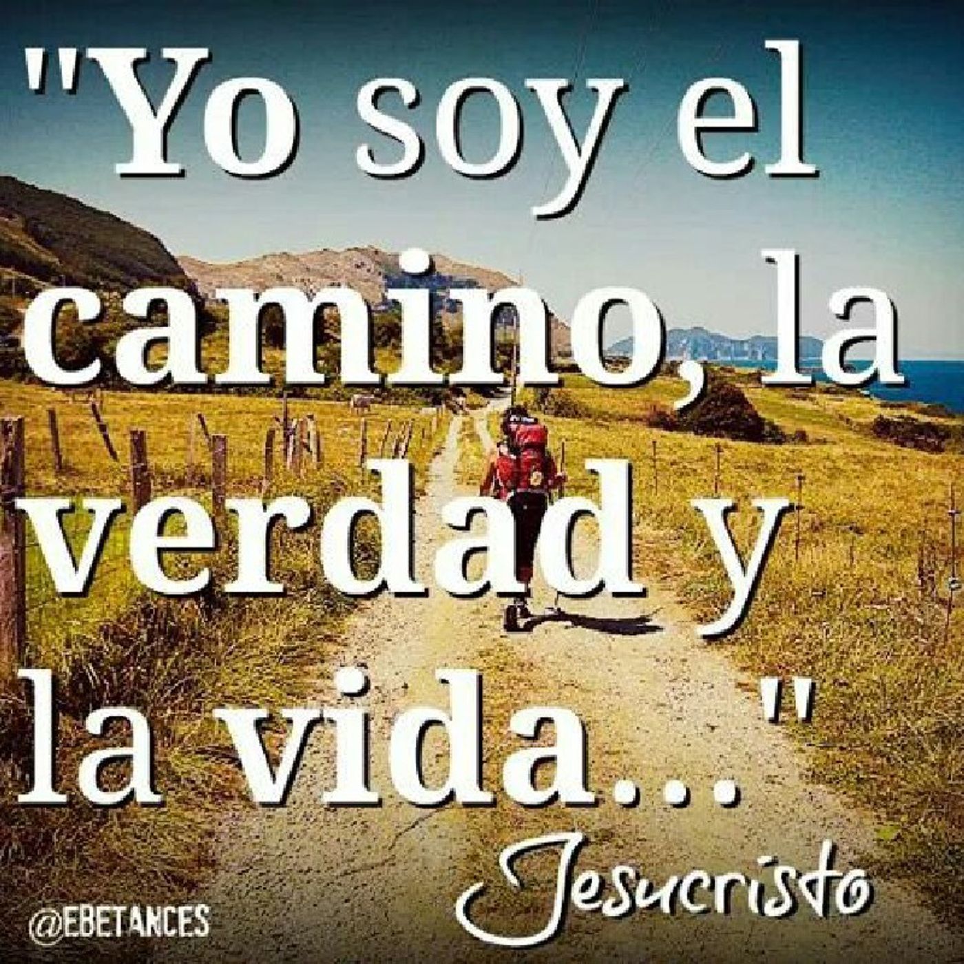 La Reflexión del Día "Jesús es el Camino, la Verdad y la Vida" episode artwork