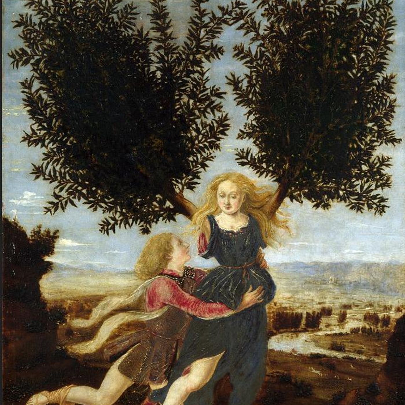 LAUREL DE LA CORONA DE APOLO A TU COCIN