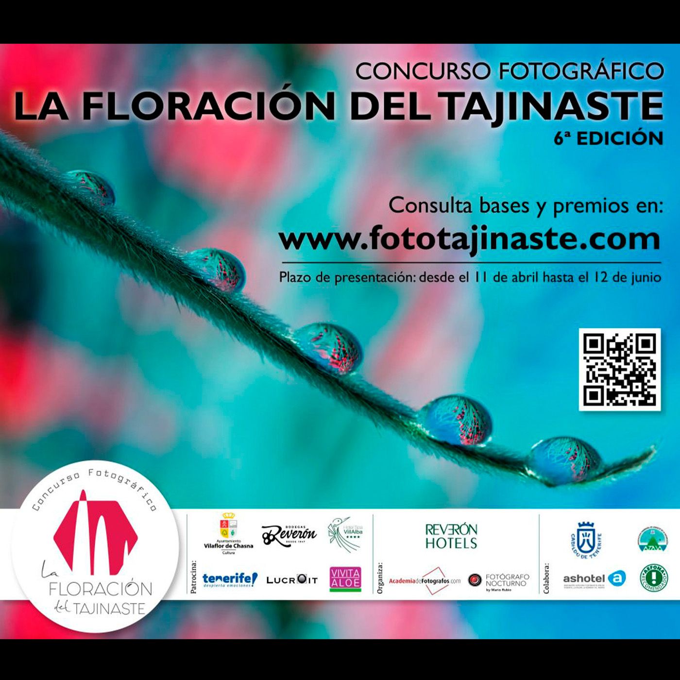 Academia de Fotógrafos