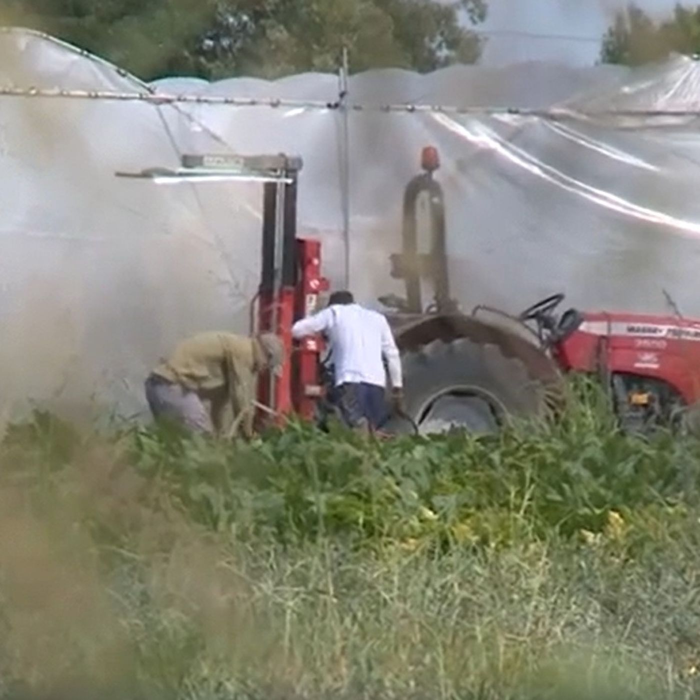 Edilizia e agricoltura: trovati lavoratori in nero, carenze sulla sicurezza e telecamere non autorizzate episode artwork
