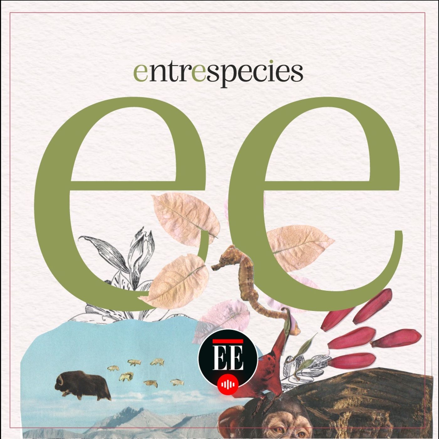 Los invitamos a conocer Entrespecies