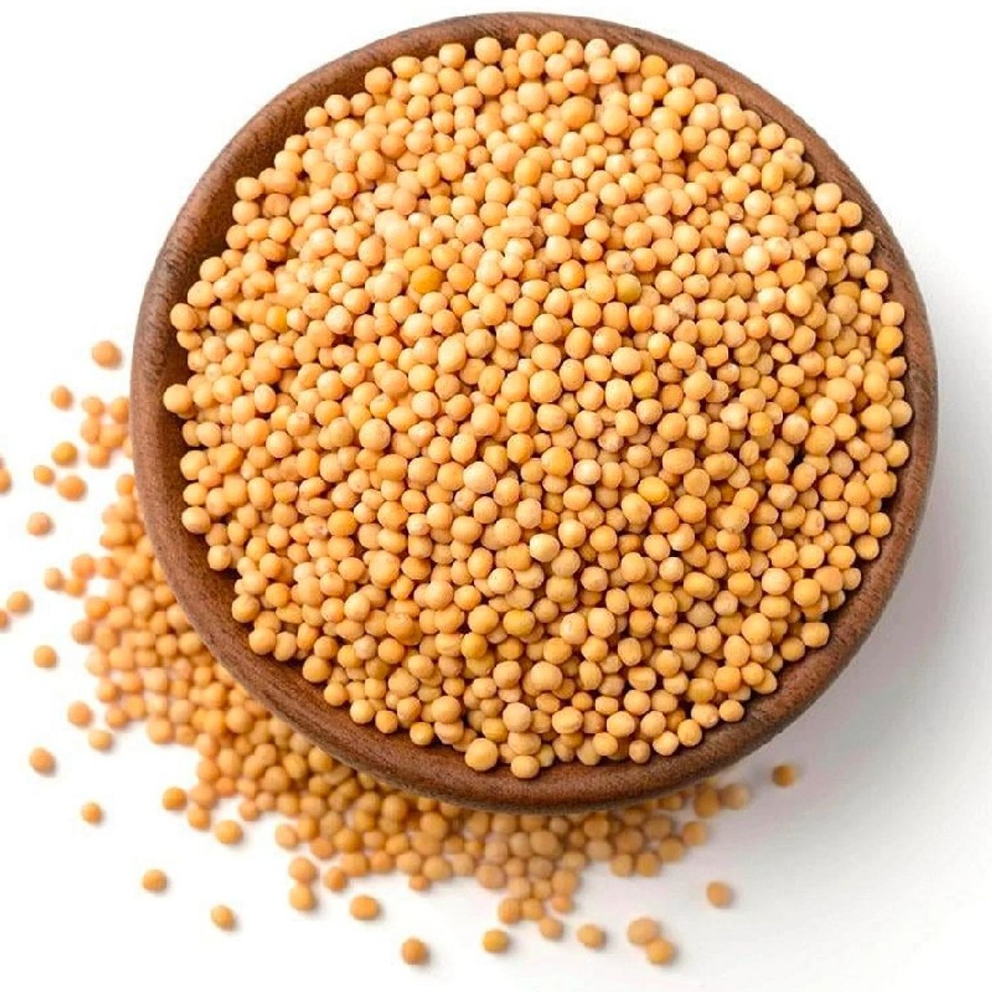Episode 1- Why Mustard Seed? episode artwork