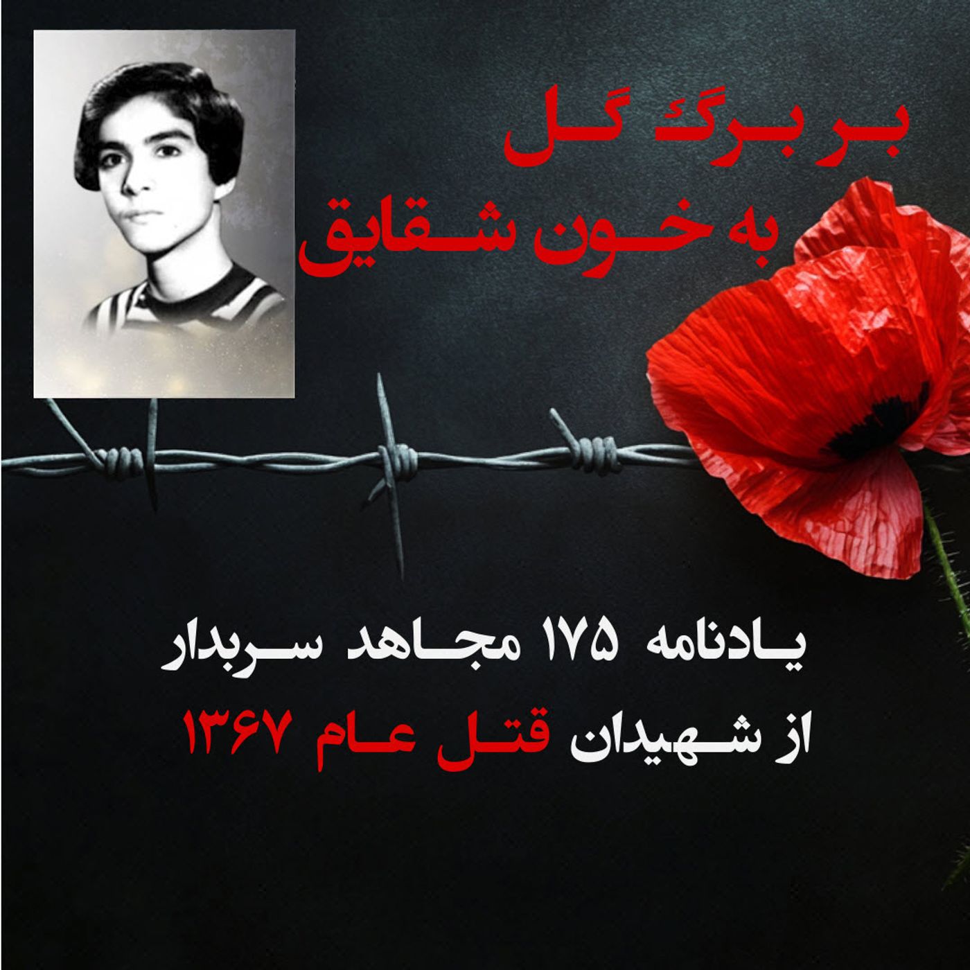 بربرگ گل به خون شقایق- مجید خادمی