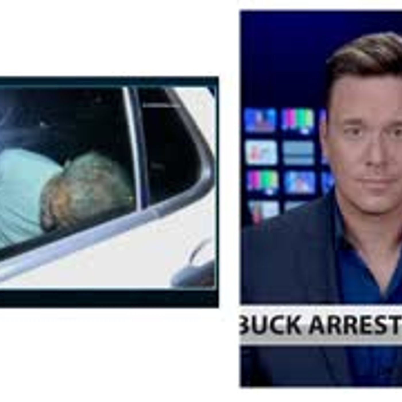 Prominent Dem Donor Ed Buck Arrested after 3rd man Overdoses in His Home episode artwork