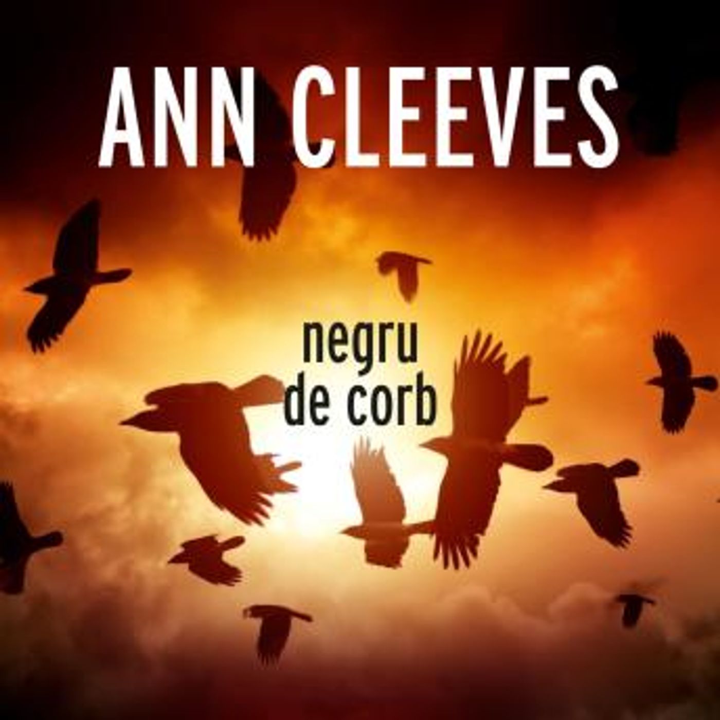 [Romanian] - Negru de corb by Ann Cleeves episode artwork