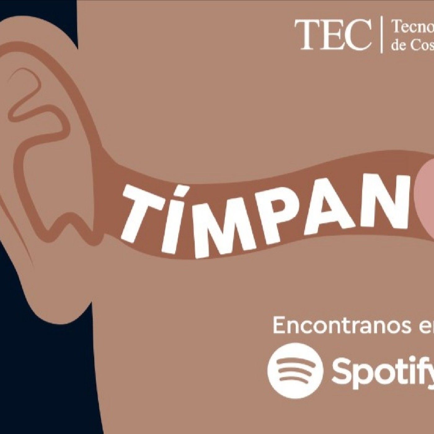 Tímpano