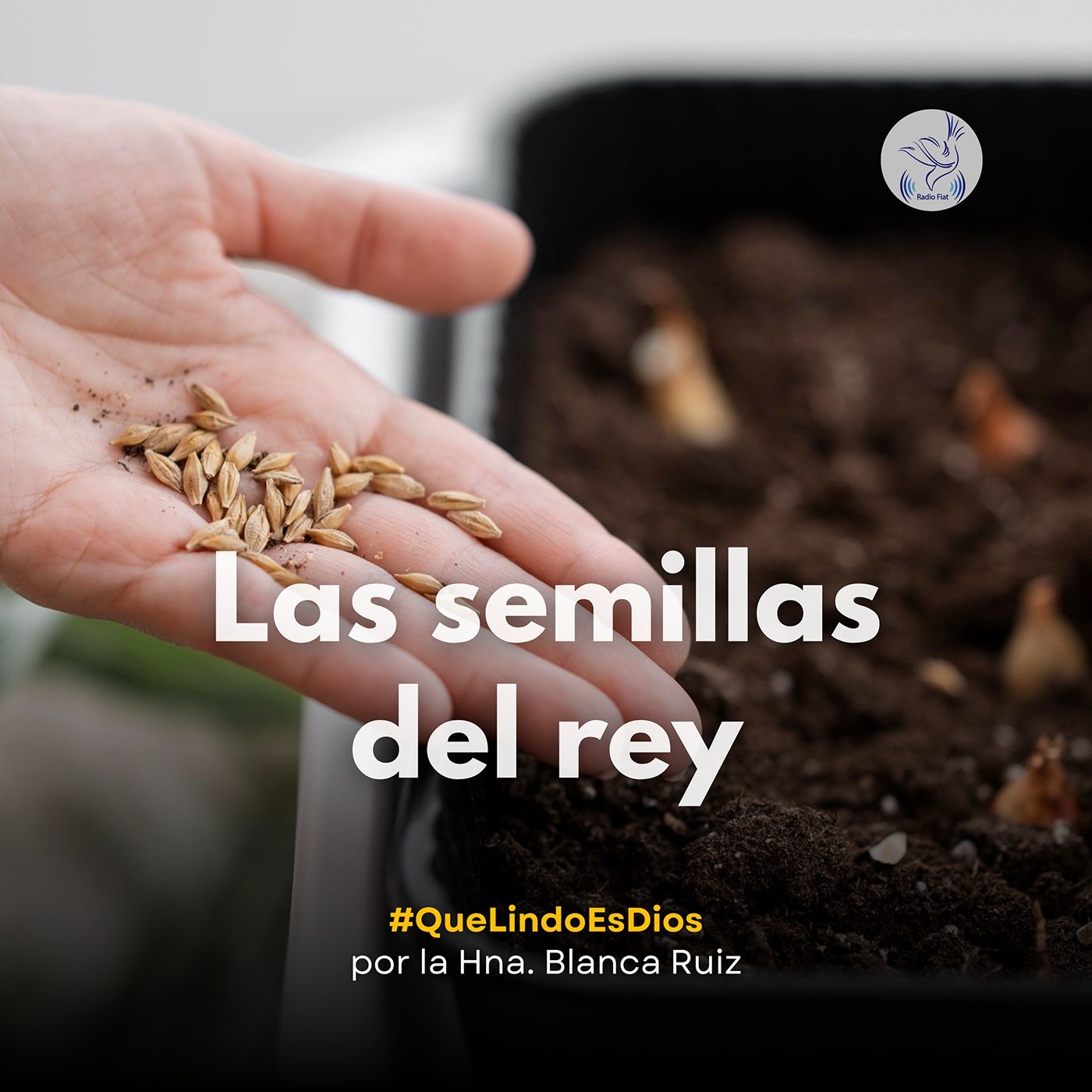 Que lindo es Dios - Las semillas del rey episode artwork