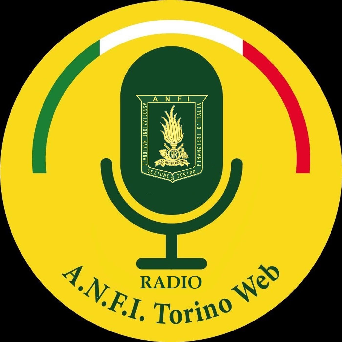 Copertina di Intervista al Presidente A.N.F.I. di...