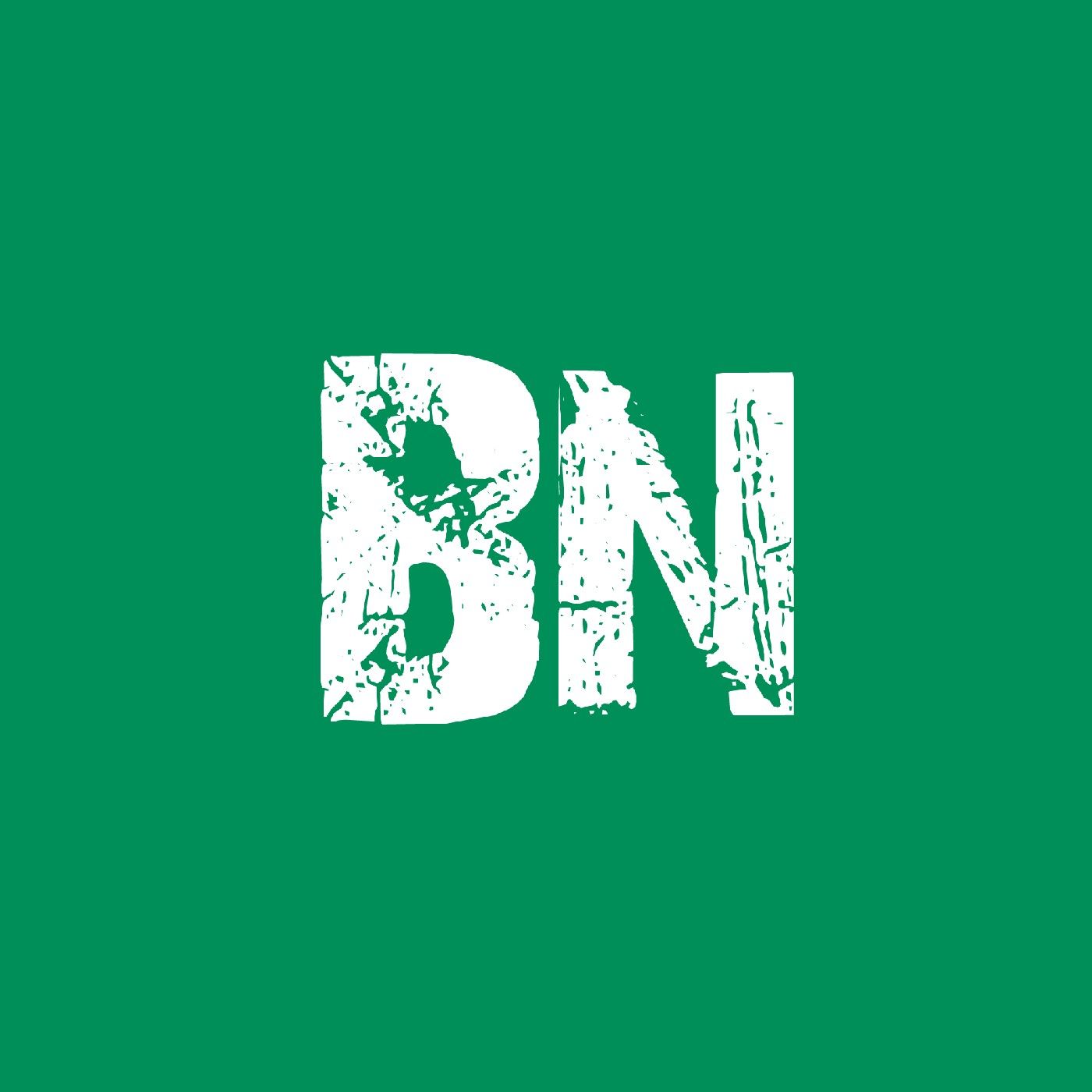 brasileiro nato livros