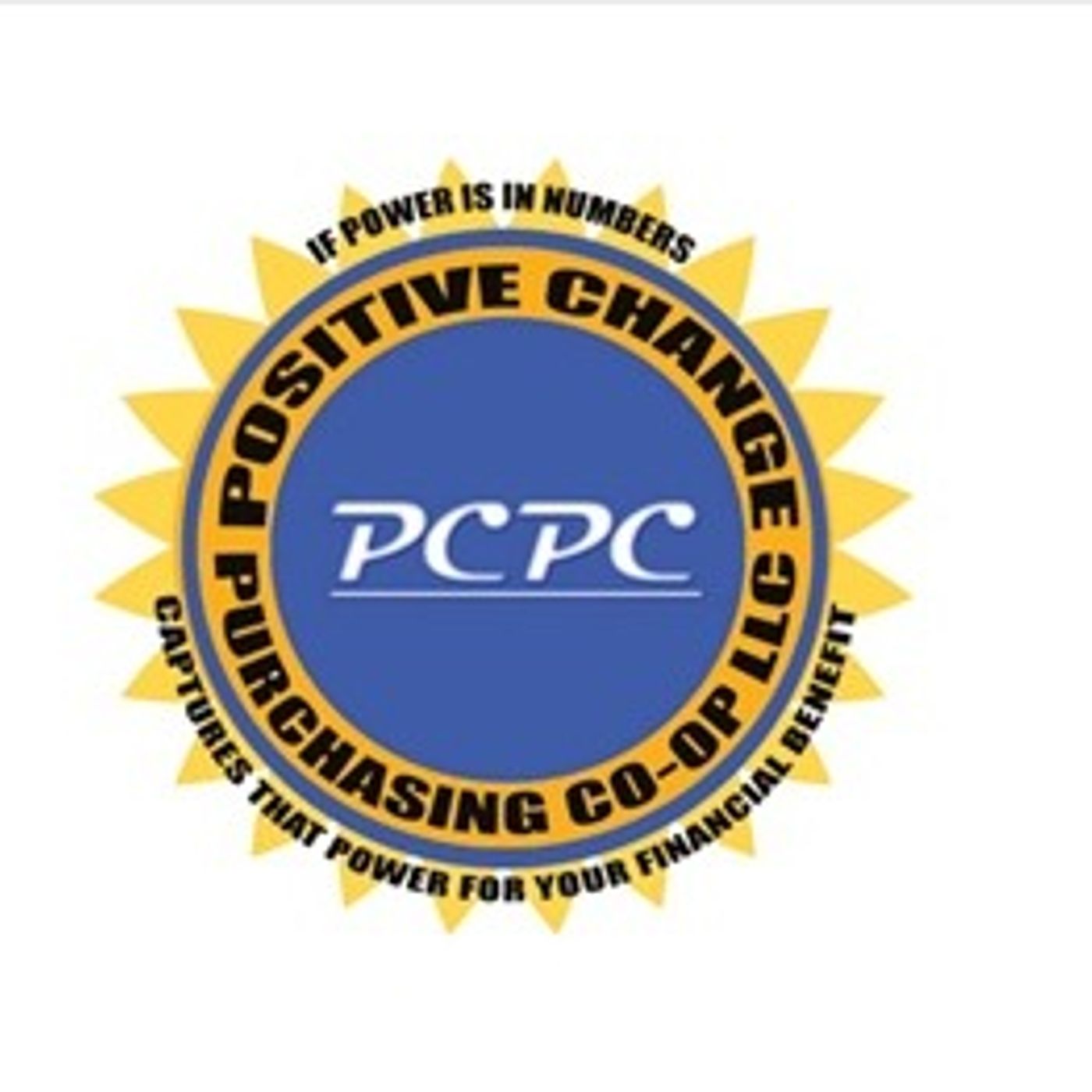 Solar Now and The Future with Its Economic Impact on Black America: Solar Now and the Future with I