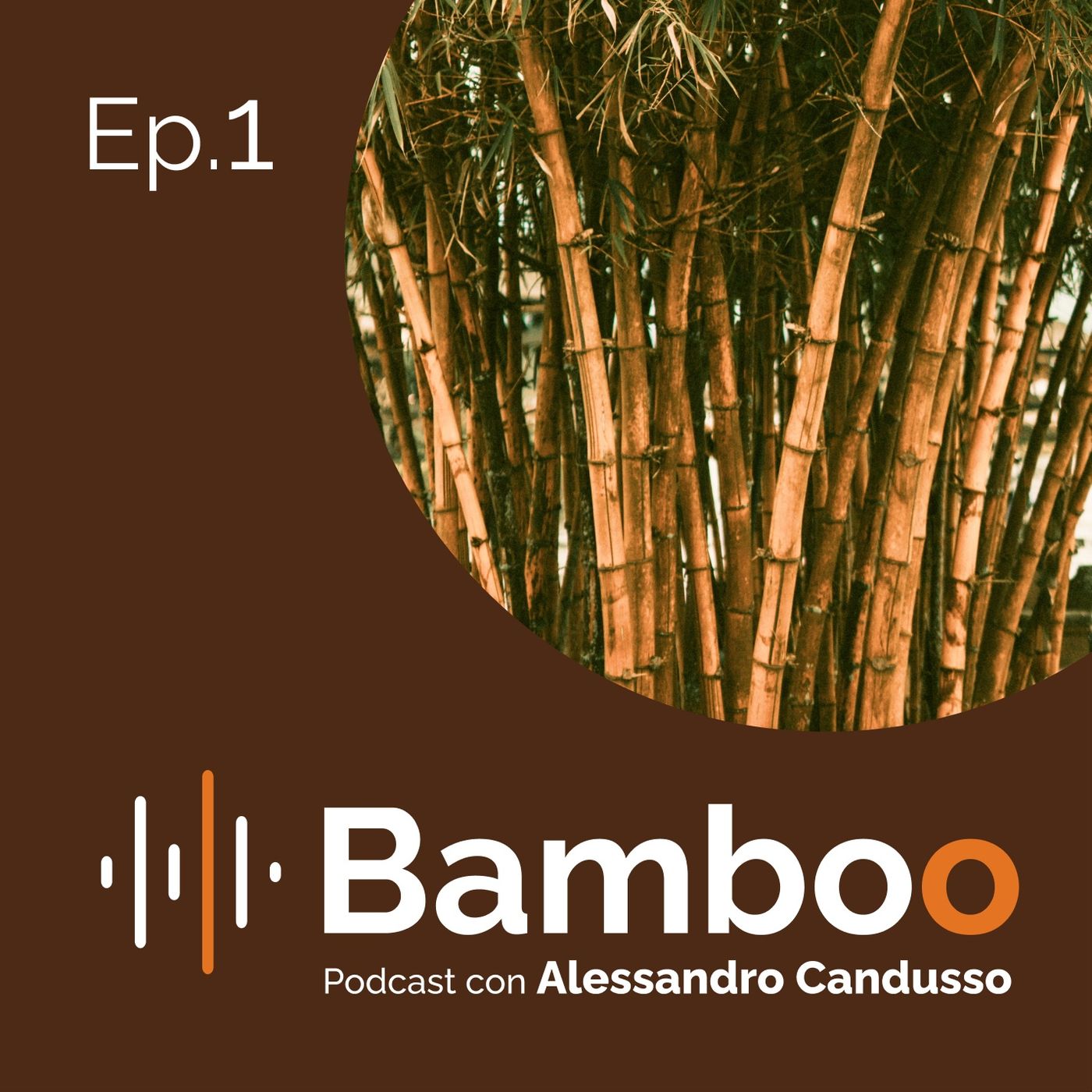 Bamboo Podcast con Alessandro Candusso