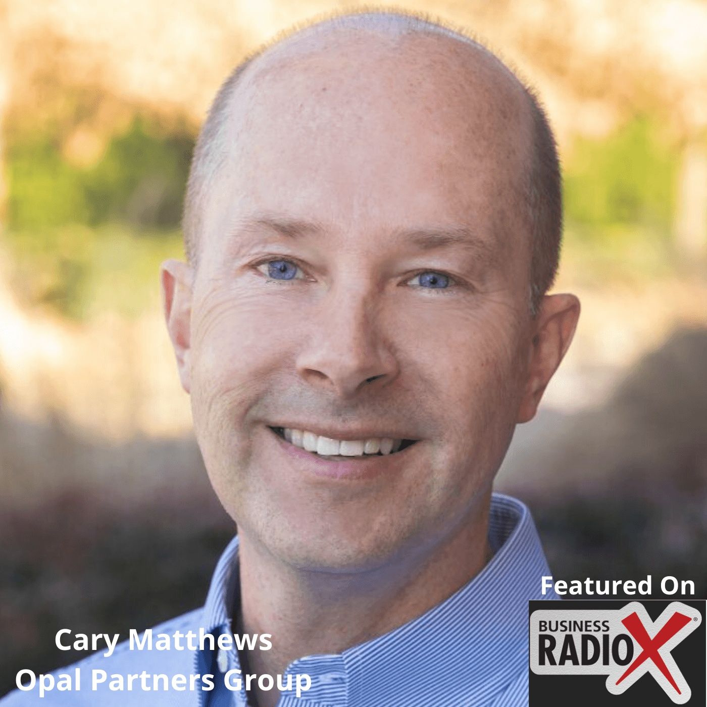 "How a Fractional Chief Operating Officer Helps Businesses," with Cary Matthews, Opal Partners Group episode artwork