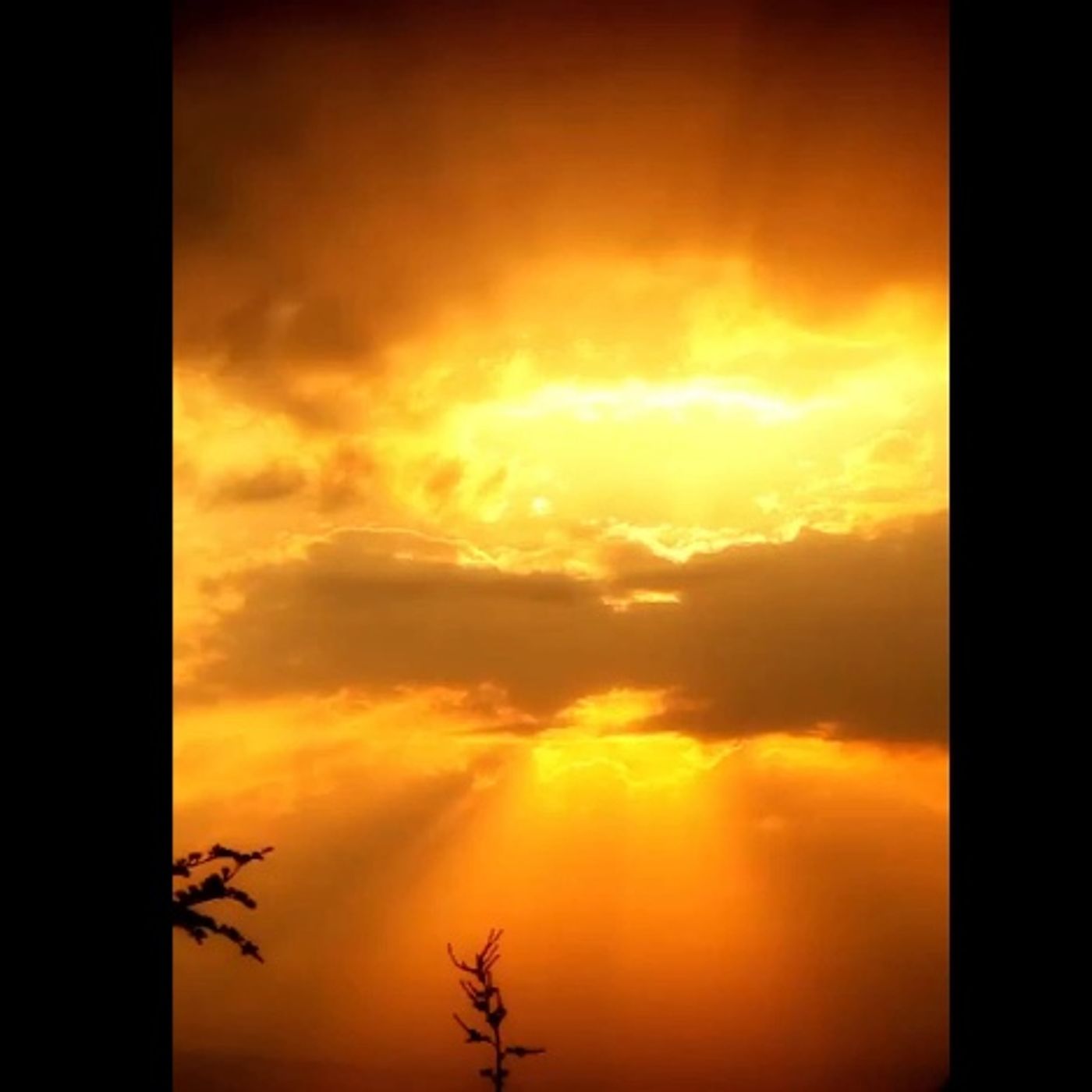 Lo que no nos cuentan Sobre Jesus