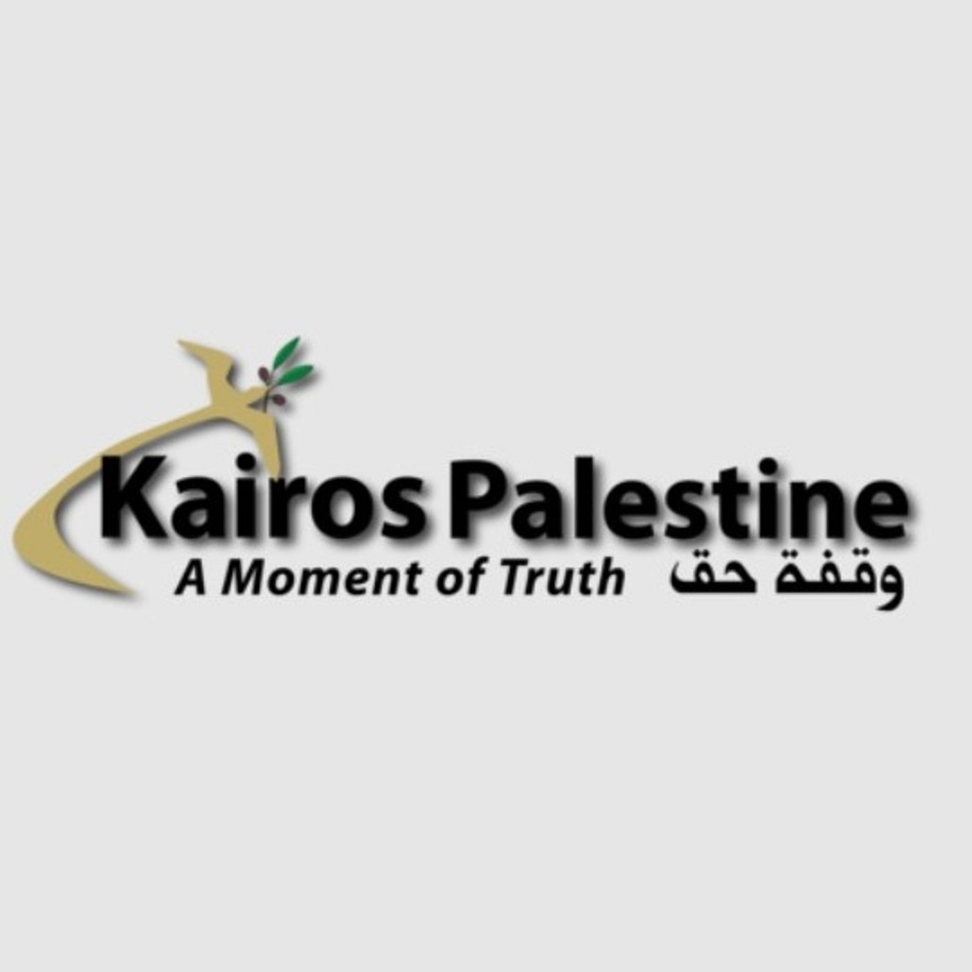 Dai Saveriani un incontro per ricordare che la crisi in Palestina non è finita: intervista a Padre Mario Menin  -  10 aprile 2026 episode artwork
