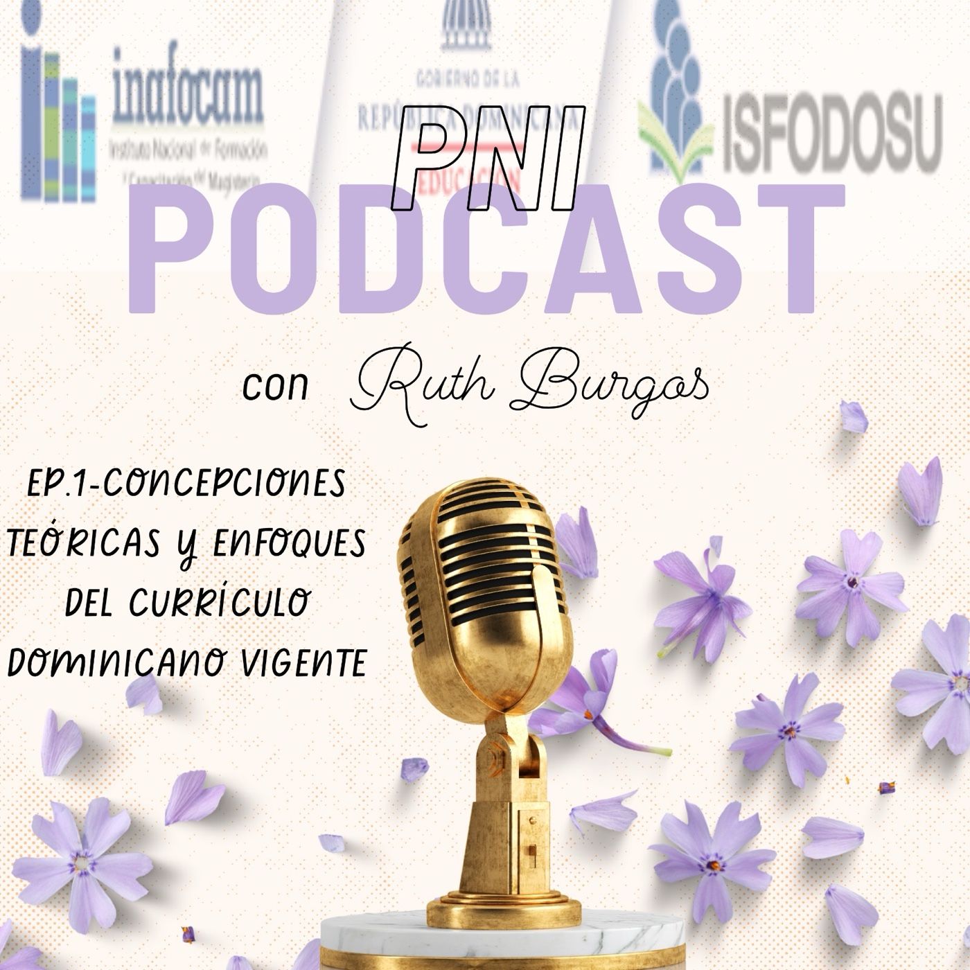 Enfoques del currículo vigente podcast artwork