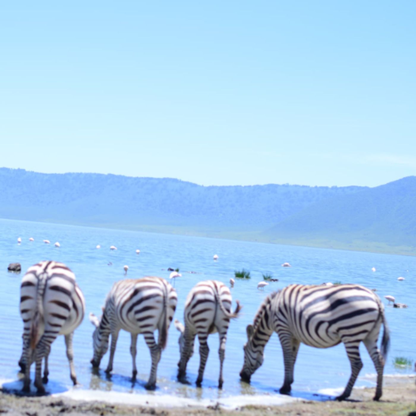 Electing Indigenous Women Leaders In Tanzania