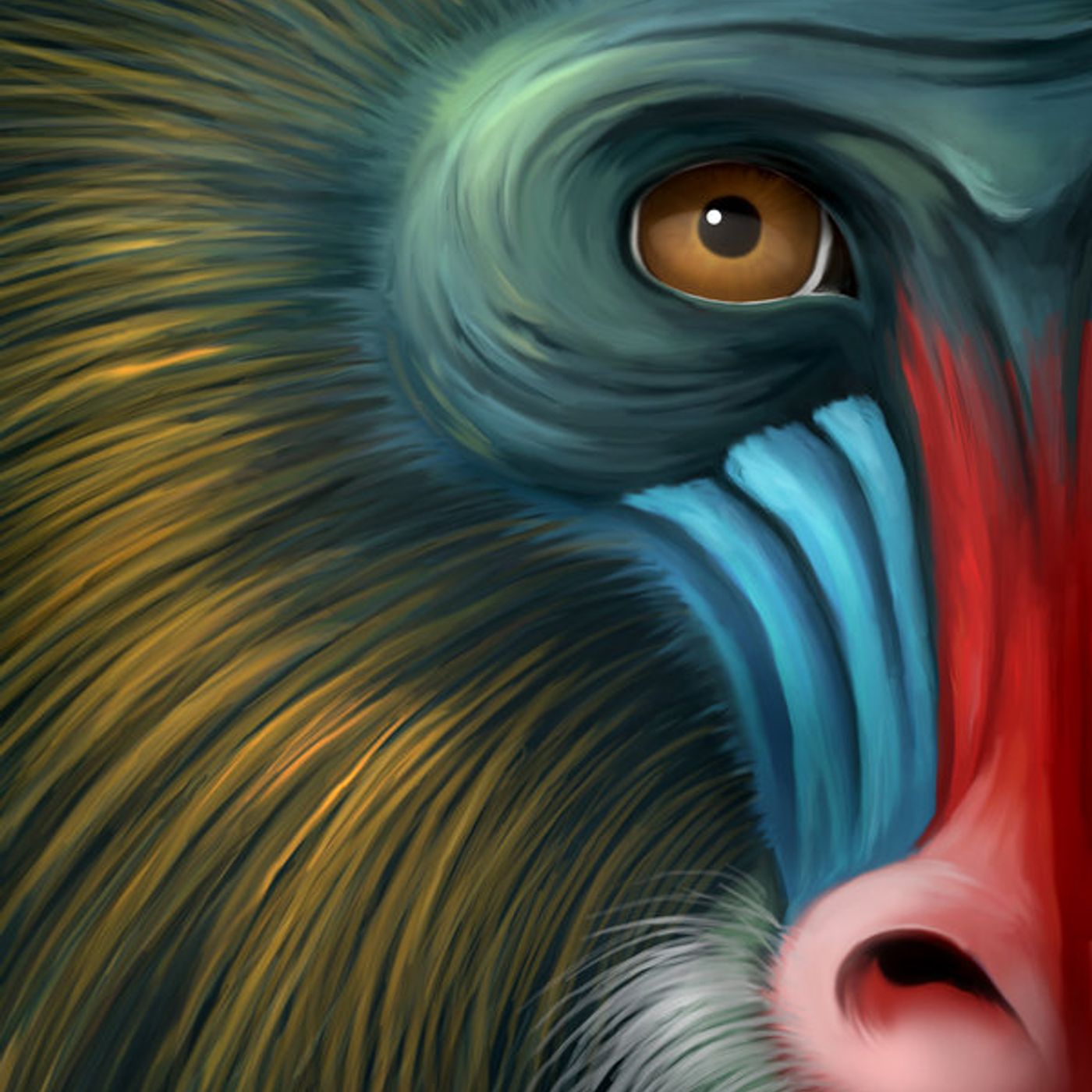 TOP TEN MONKEY