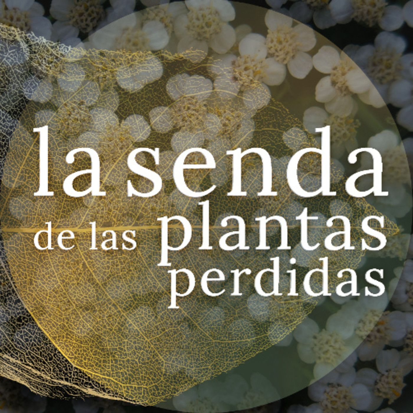 La Senda de las Plantas Perdidas
