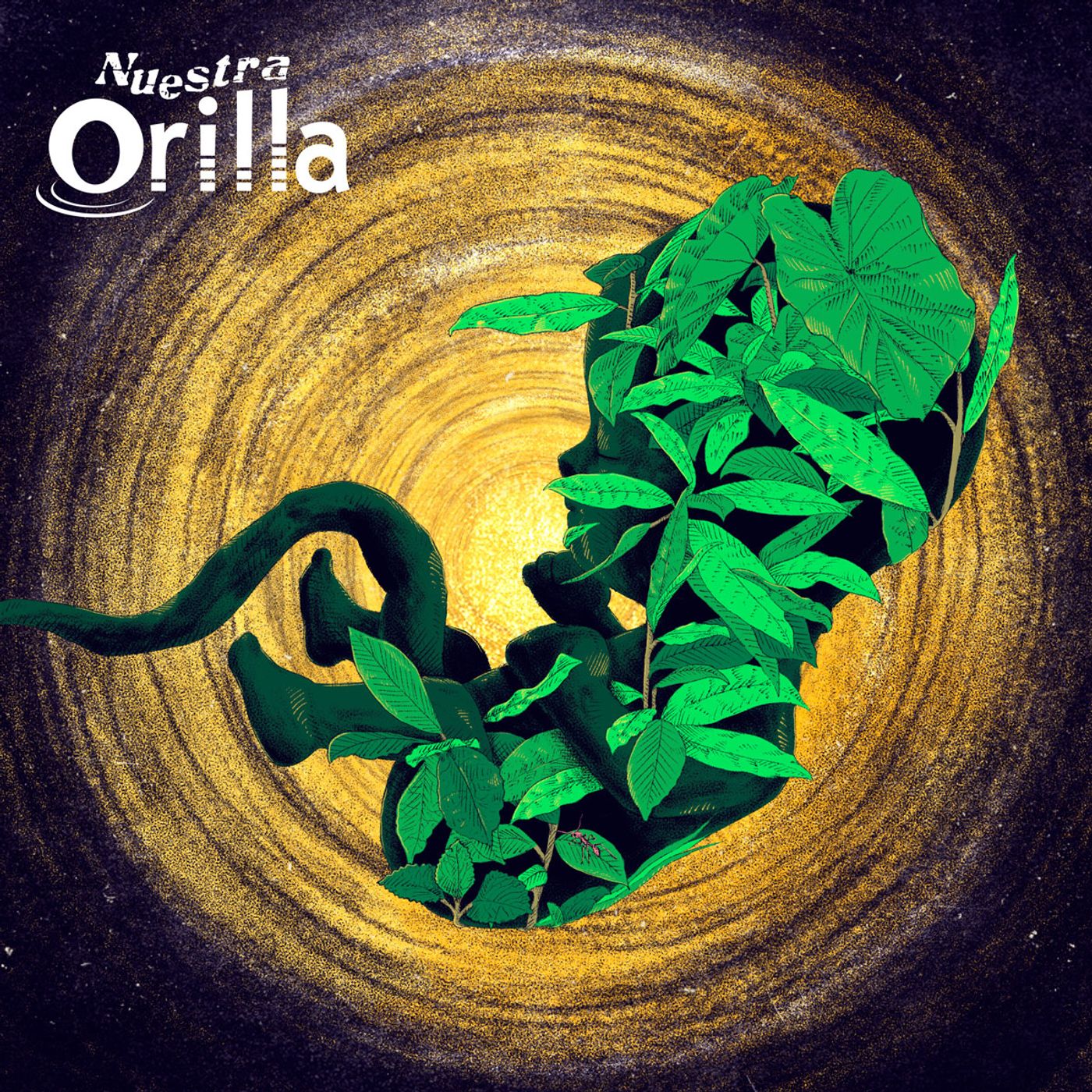 Nuestra Orilla