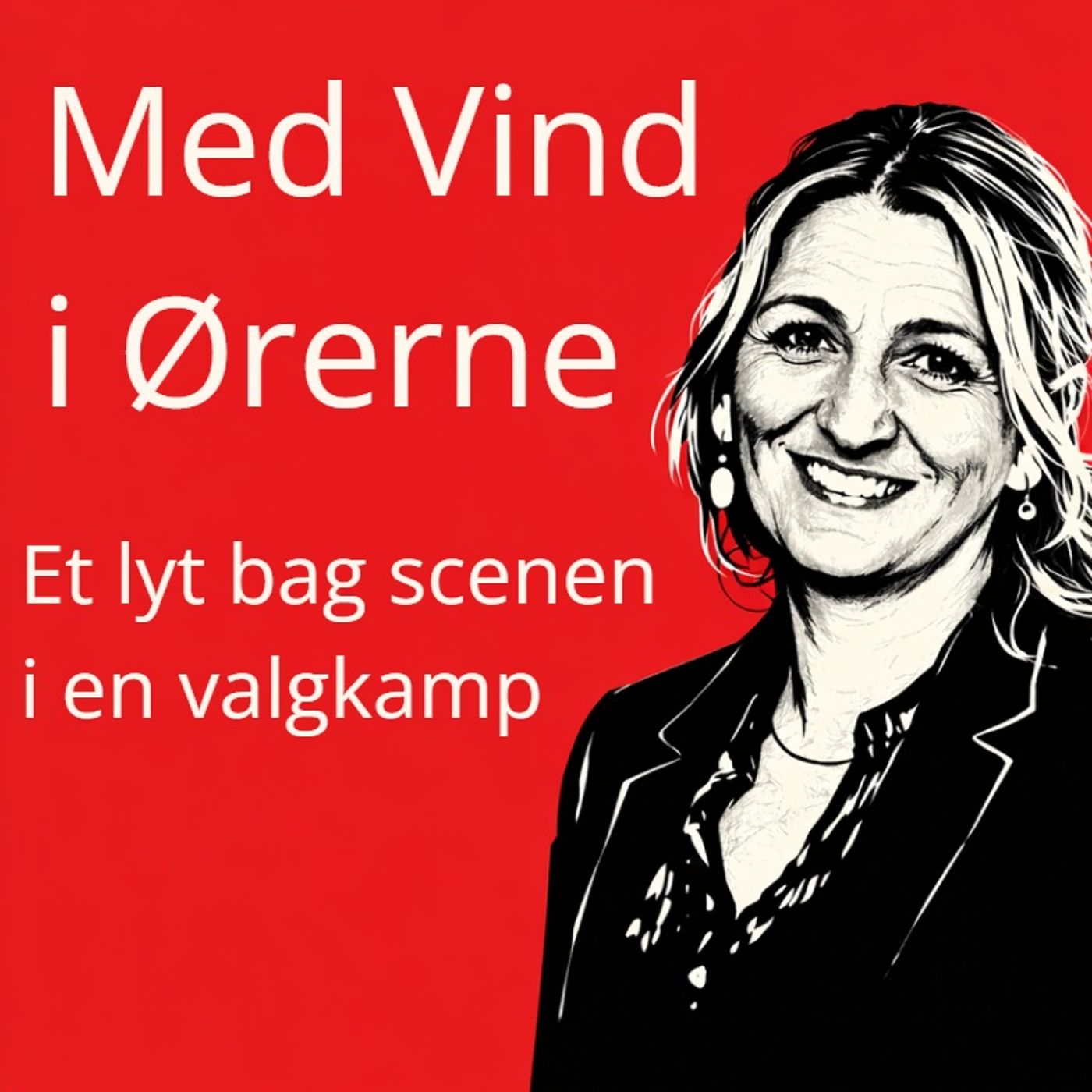 Med Vind i Ørerne cover art