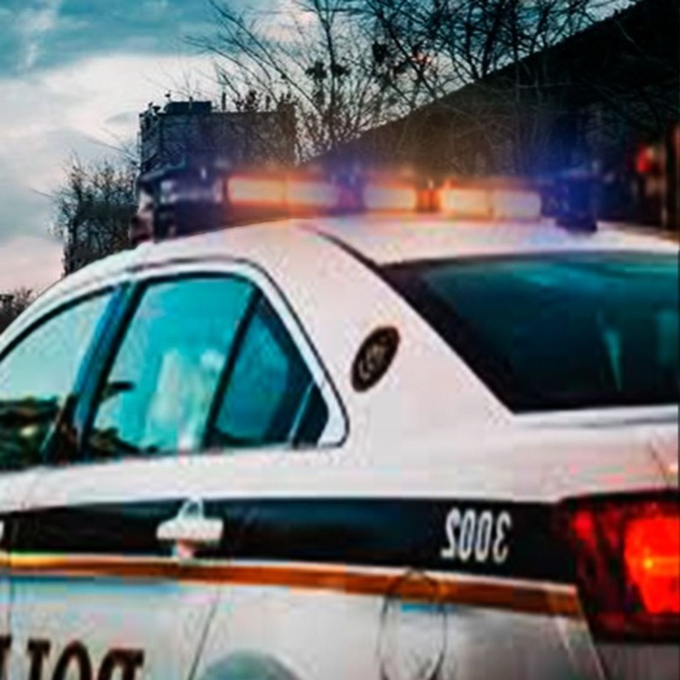 Territorio Embrujado (Relato Policíaco) Historias De Terror - REDE