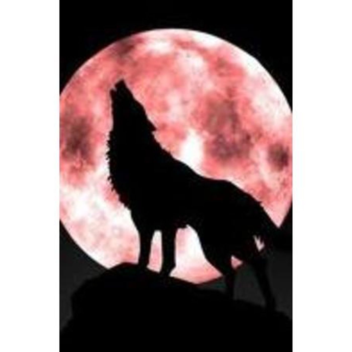 Moon Magic with Jeanet Ewing - Summer Full Moon Ritual episode artwork