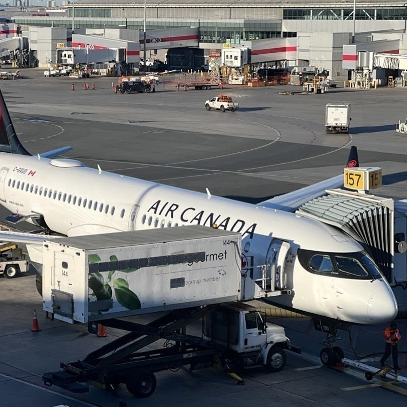 How was a former Air Canada pilot able to fly without a proper licence episode artwork