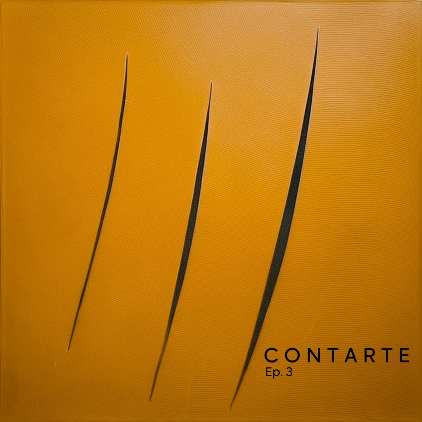 Contarte - Storie dai Musei di Feltre