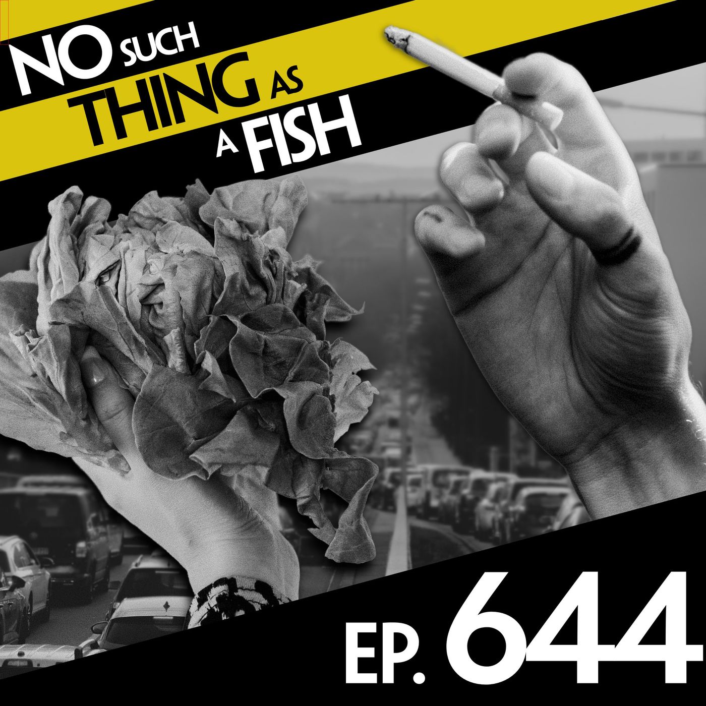 No Such Thing As Sunscreen for Flies episode artwork