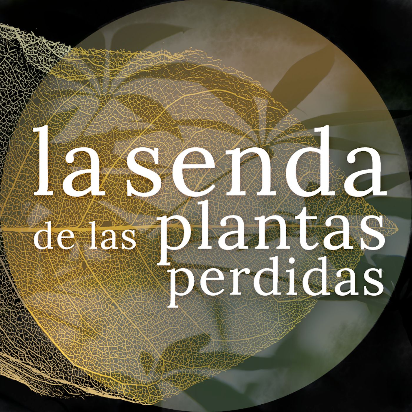 La Senda de las Plantas Perdidas