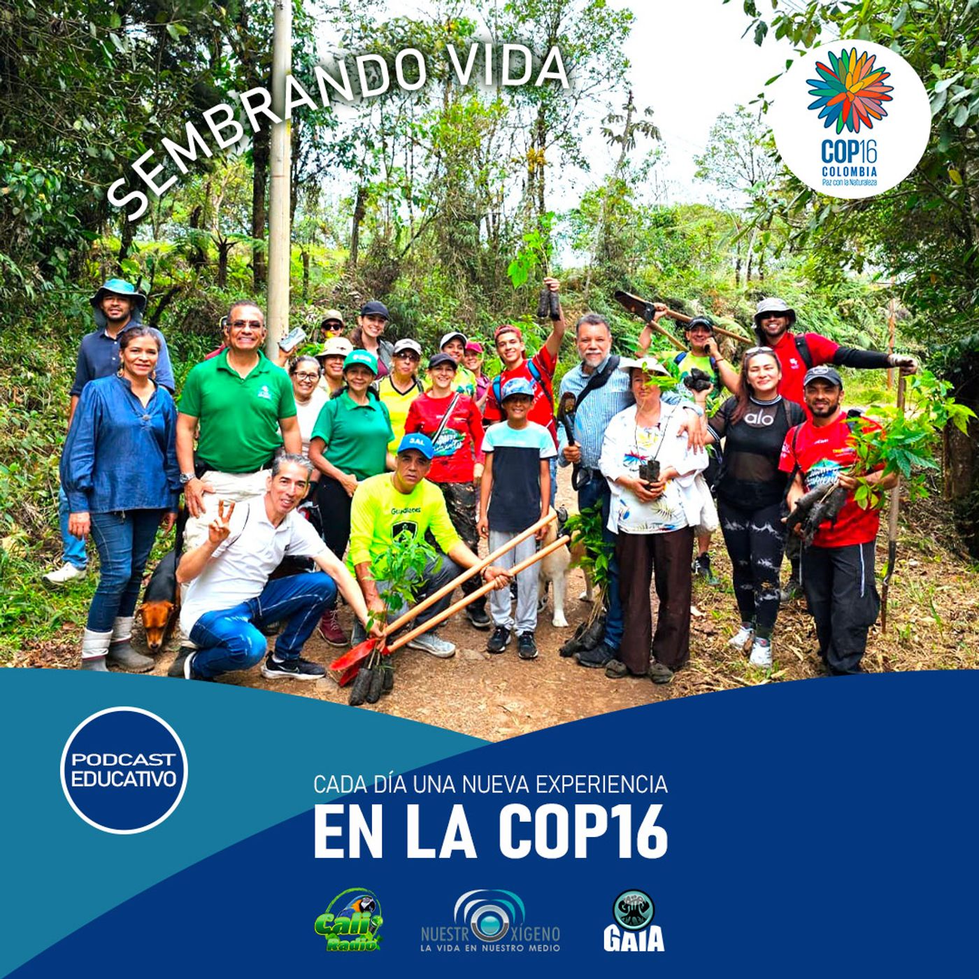 09- NUESTRO OXÍGENO COP Dia 6 28 de oct Carlos Fernando Galan Alcalde de Bogota- Siembra de arboles en la Paz episode artwork