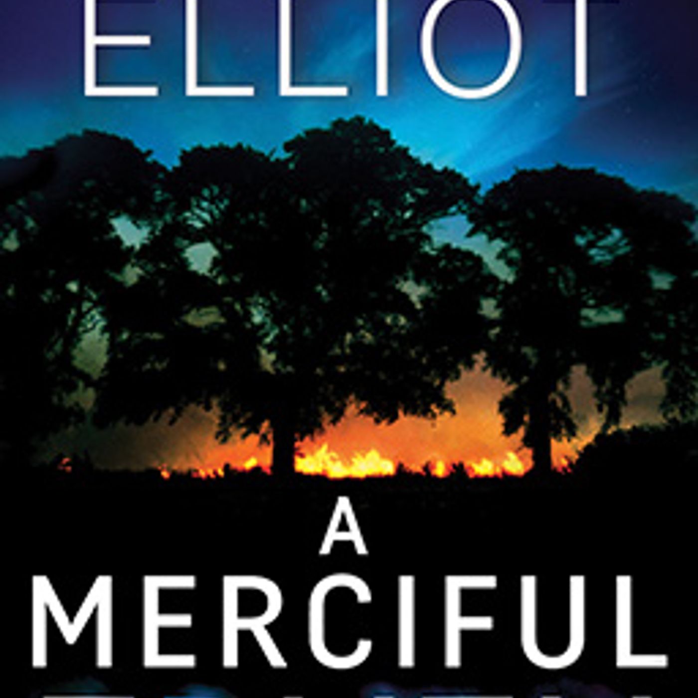 Top Full Audiobooks in Mystery, Thriller & Horror, Police & Detective